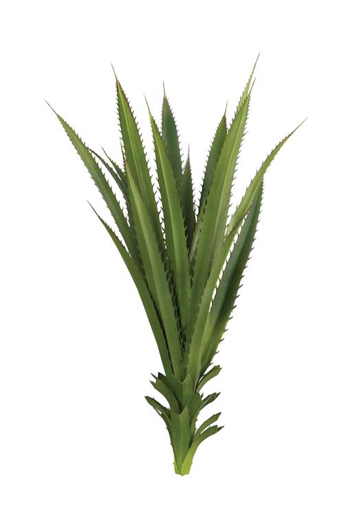 PINEAPPLE PLANT, 23", GREEN