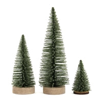 S/3 Bottlebrush Trees