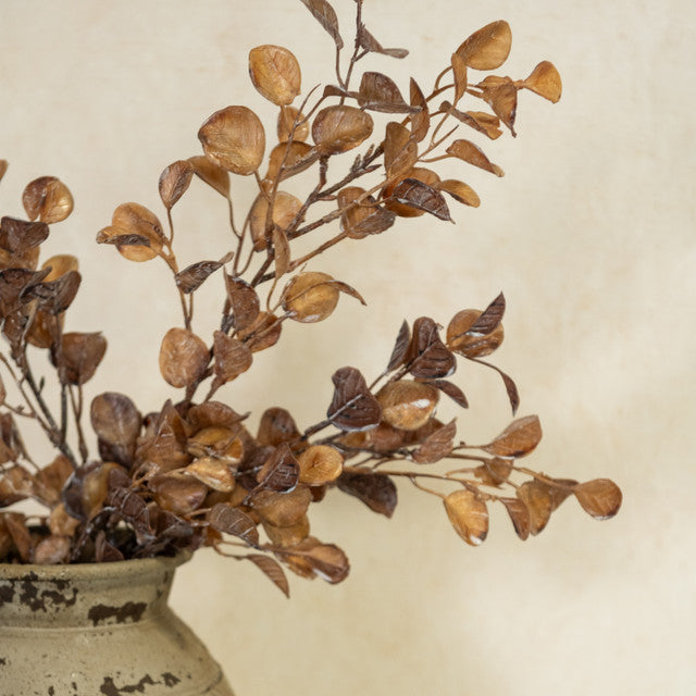 29" DRY BOXWOOD SPRAY