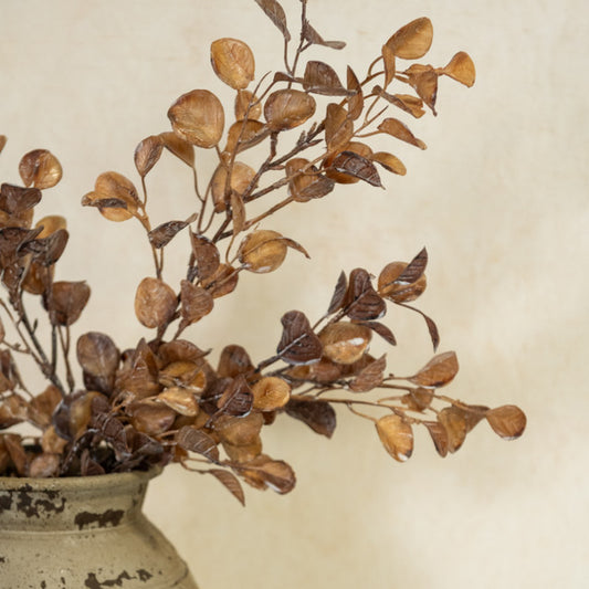 29" DRY BOXWOOD SPRAY