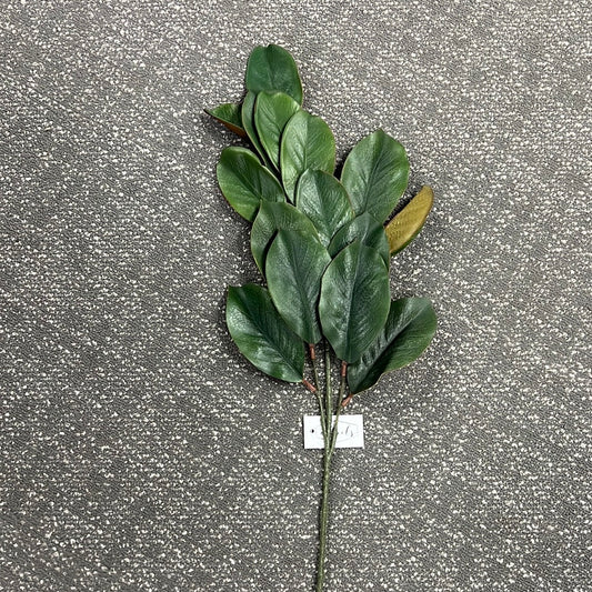 Magnolia Leaf Spray