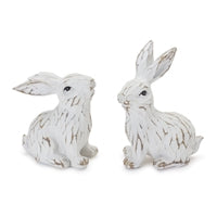 3.75 White Bunny