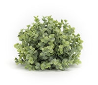 7” Boxwood Half Orb