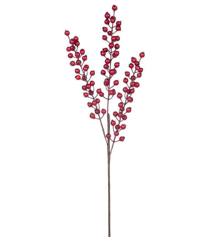 Burgundy Berry Pick
