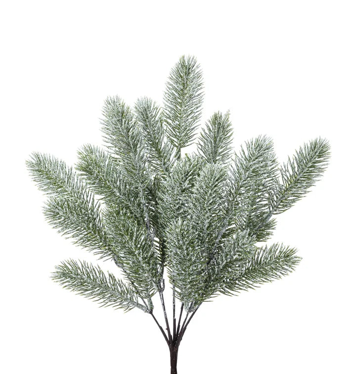 Frost Spruce Pick