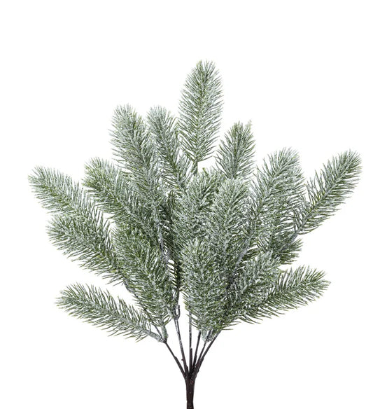 Frost Spruce Pick