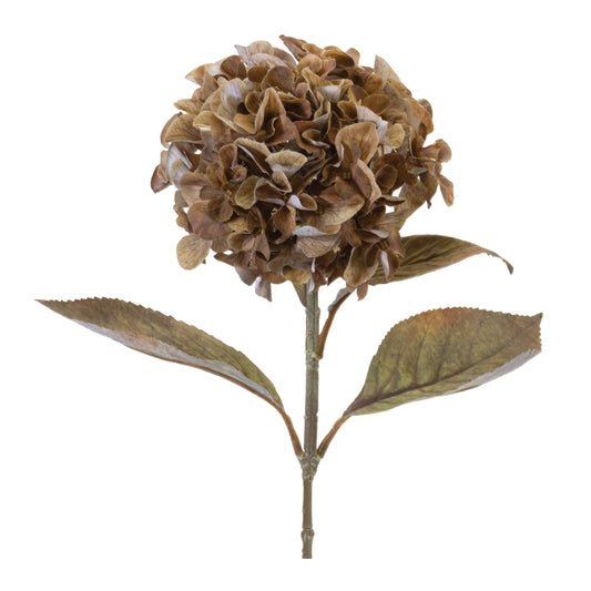 Taupe Hydrangea Stem