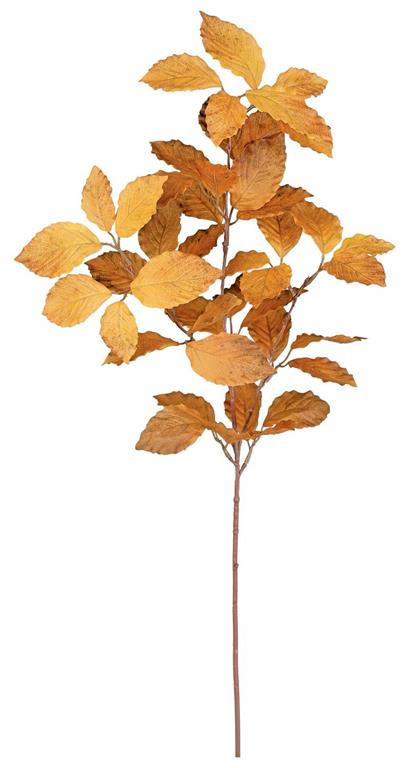 Birch Spray 28" Brown