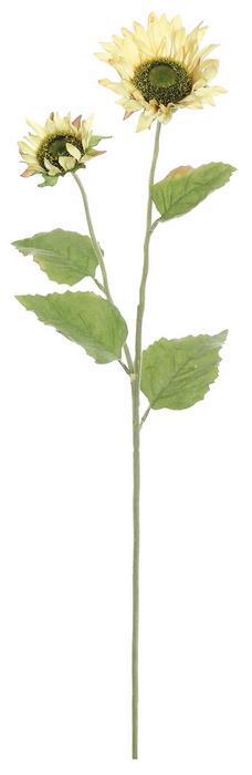 Sunflower x 2, small, 27" vanilla