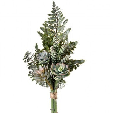 SUCCULENT & FERN DROP 16"