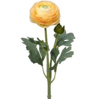 Ranunculus & Bud Stem 19"