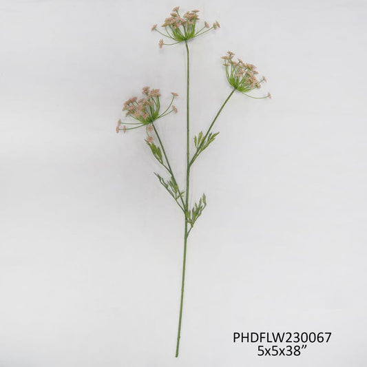 Estate Garden Queen Anne's Lace Pink