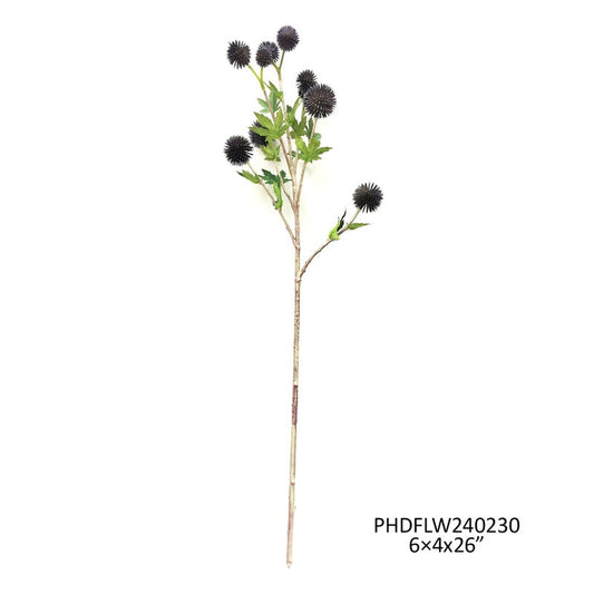 Blue Globe Thistle Stem