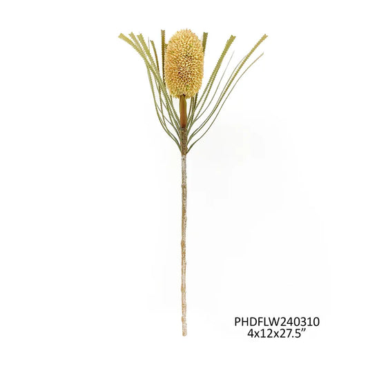 Banksia Protea Tusk