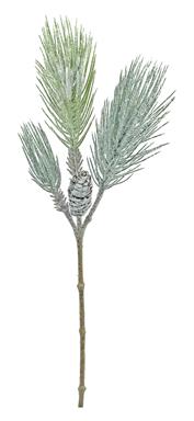 Frosted Red Pine