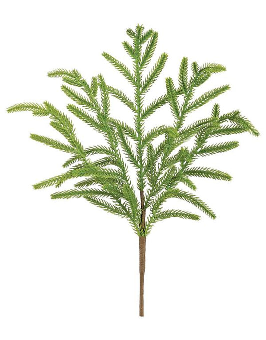 NORFOLK PINE PICK, 18", GREEN