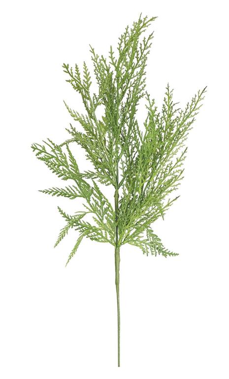 SOFT TOUCH CYPRESS PINE PICK, 21", GREEN