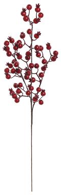 Matte Currant Berry Spray