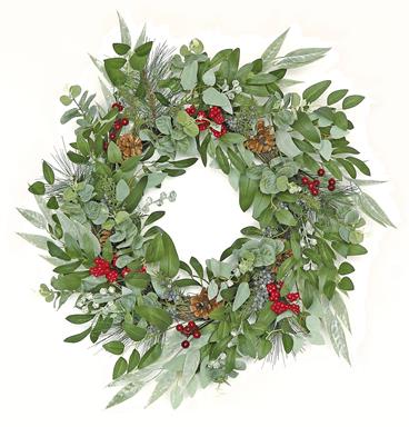 Mixed Eucalyptus, Pine & berry Wreath