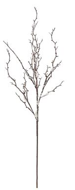 Snow Twig Branch, Brown