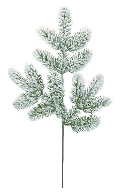 Snowy Noble Fir Spray, Green
