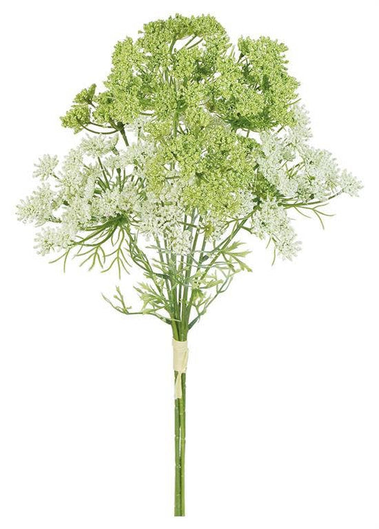 Queen Anne's Lace Bundle, 19.5", Cream/Green