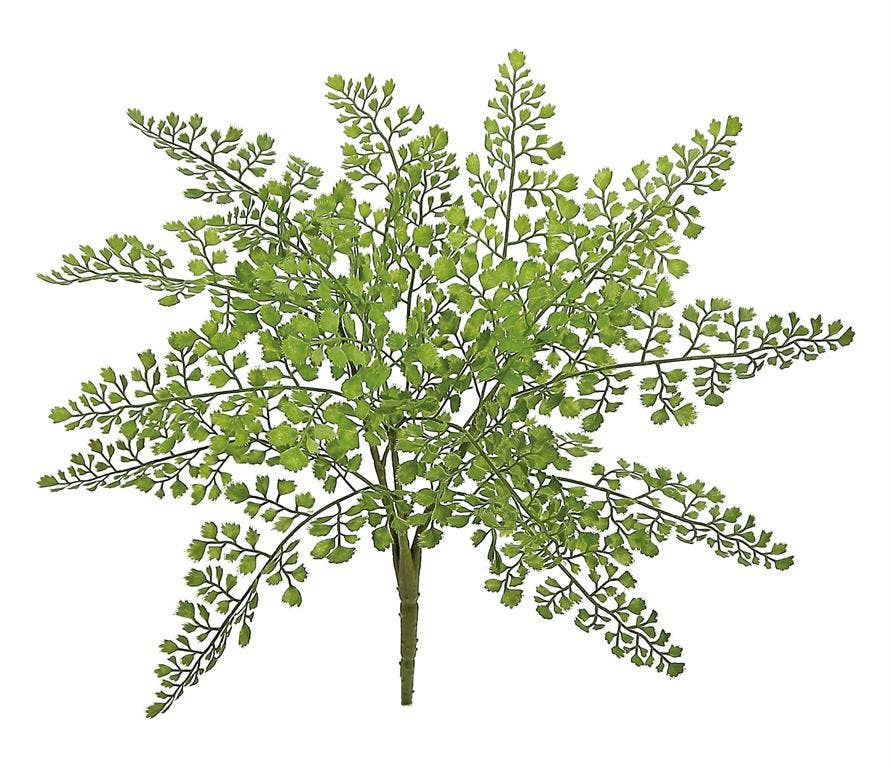 Maidenhair Fern Bush, #FL5968-G