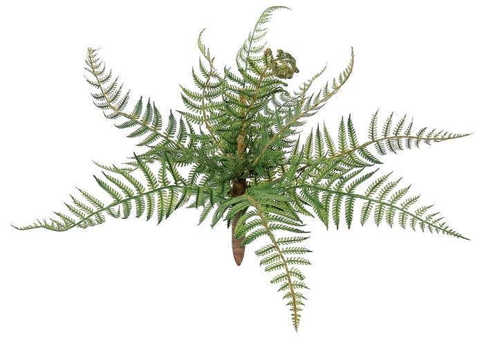 Forest Fern, #FL1632/S-G