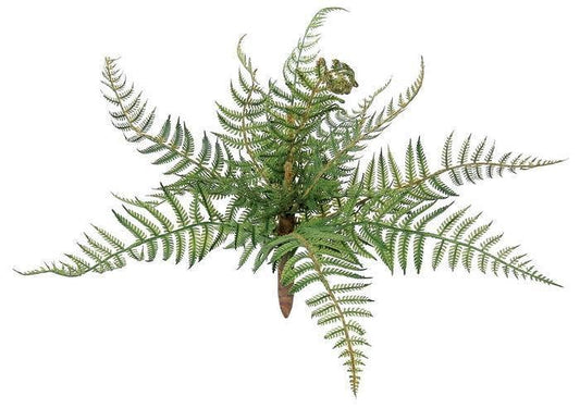 Forest Fern, #FL1632/S-G
