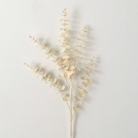 Cream Eucalyptus Spray