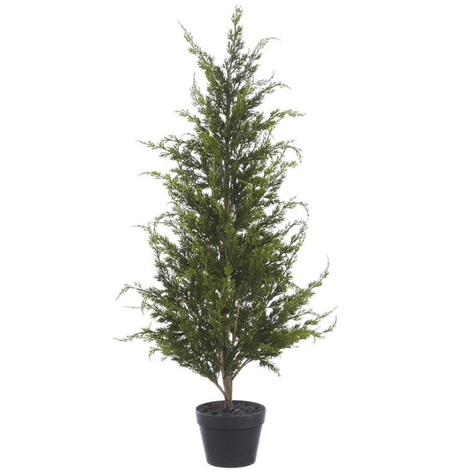 48.5" Juniper Tree in Plastic Pot Green
