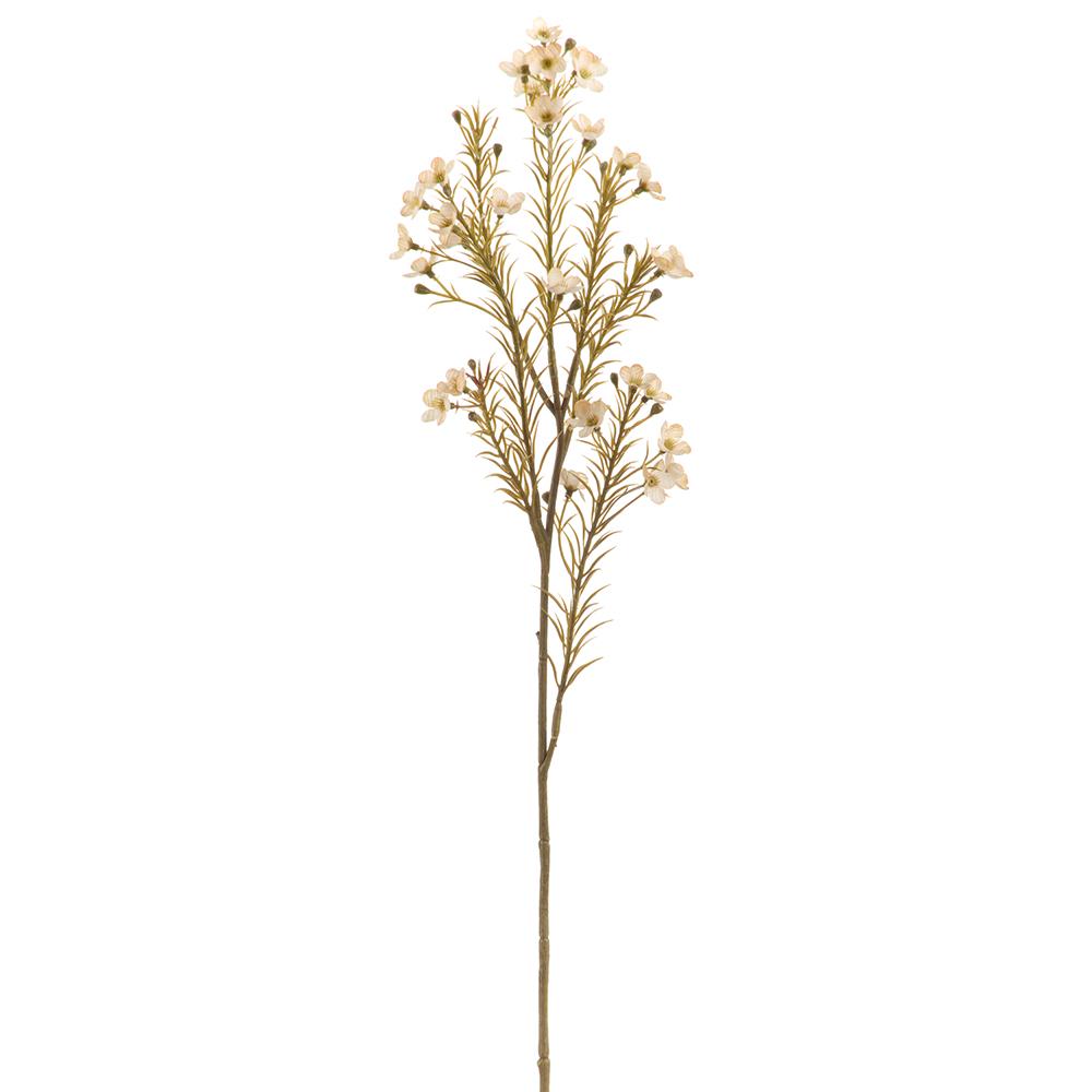 Waxflower Spray
