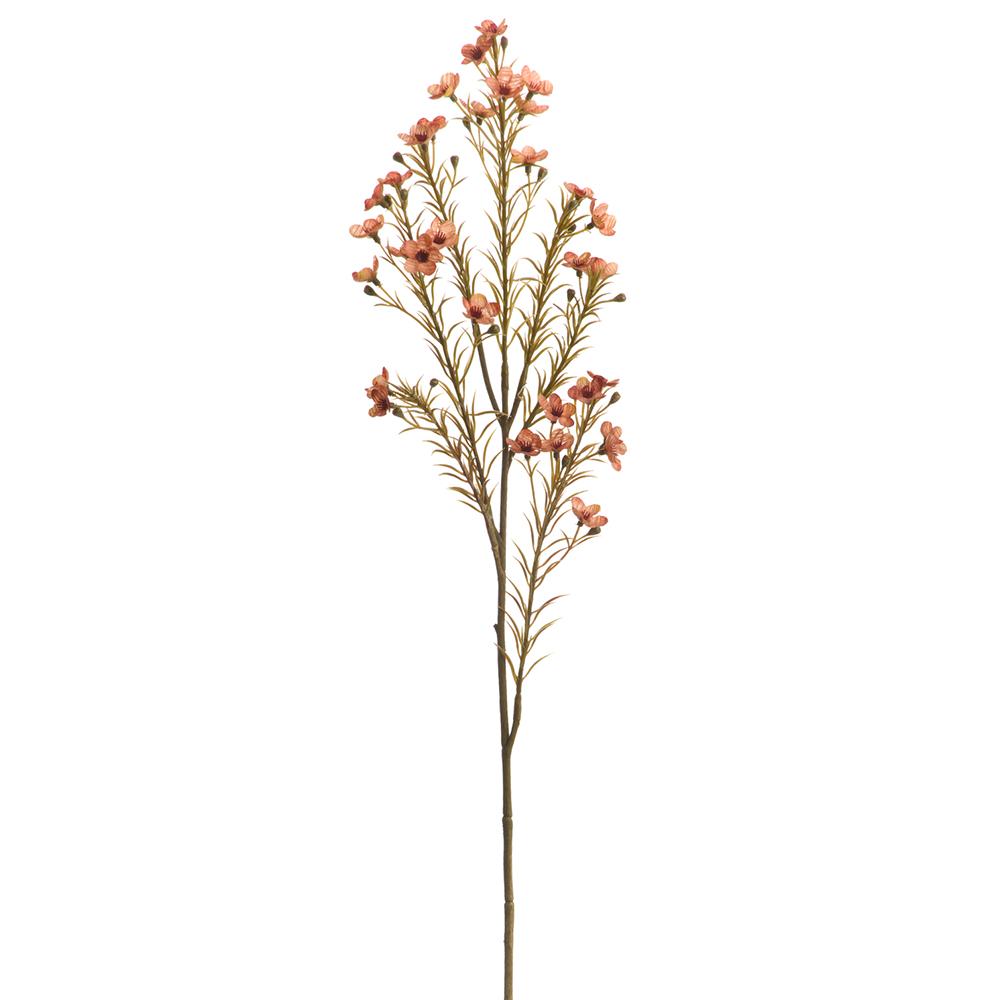 Waxflower Spray