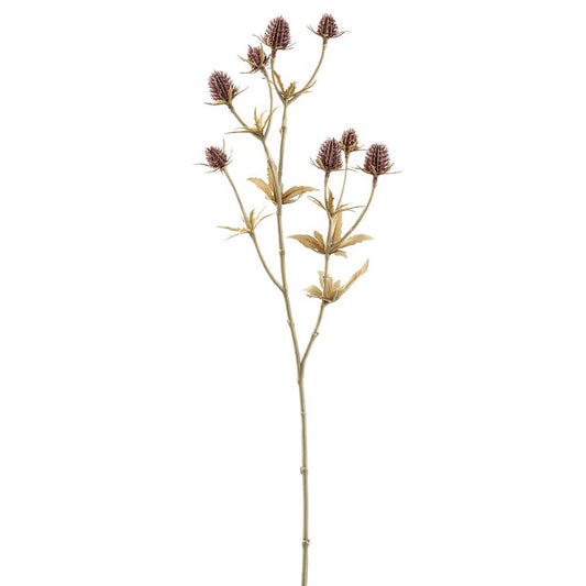 20"ERYNGIUM SPRAY MV