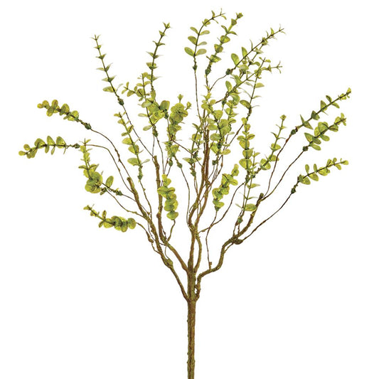 19" Mini Eucalyptus Bush x5  Green