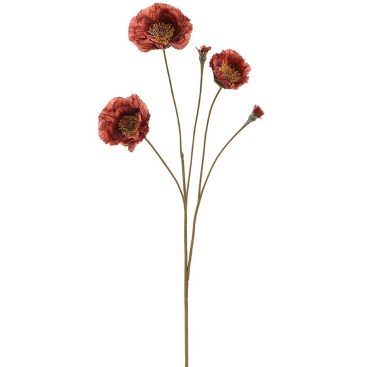 26" Poppy BE