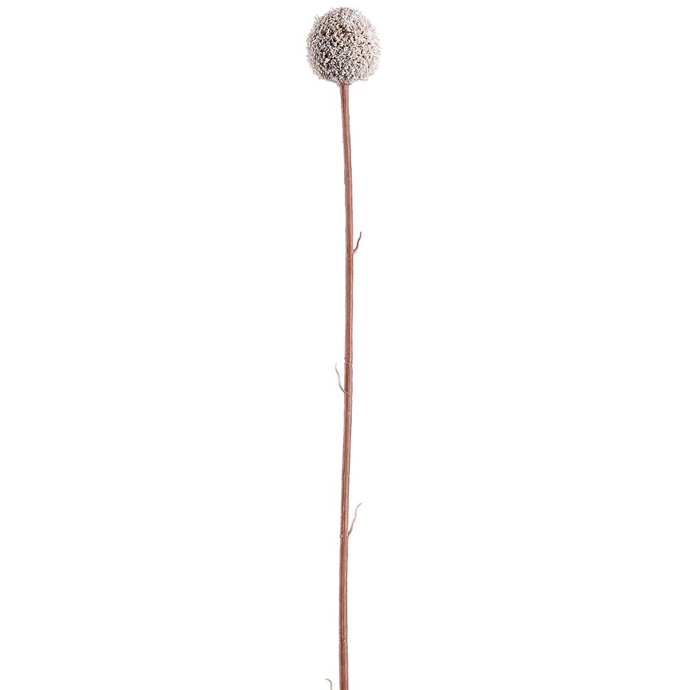 28" BILLY BUTTON SPRAY WH
