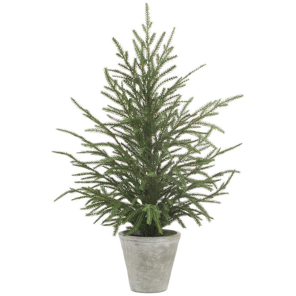 15" Cypress Tree in Cement Pot Gray Green