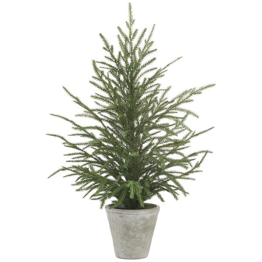 15" Cypress Tree in Cement Pot Gray Green