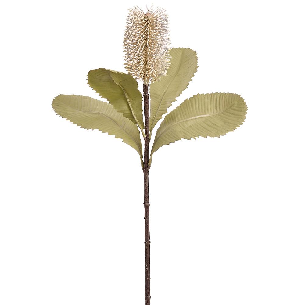 29" Banksia Spray Beige Green