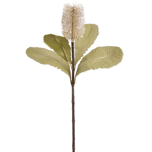 29" Banksia Spray Beige Green