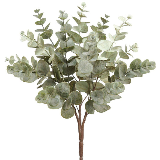 19" Eucalyptus Bush GR/GY