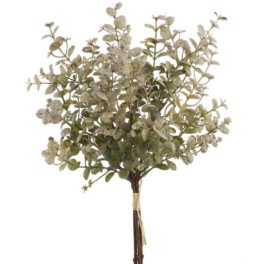 16" Gray/Green Boxwood