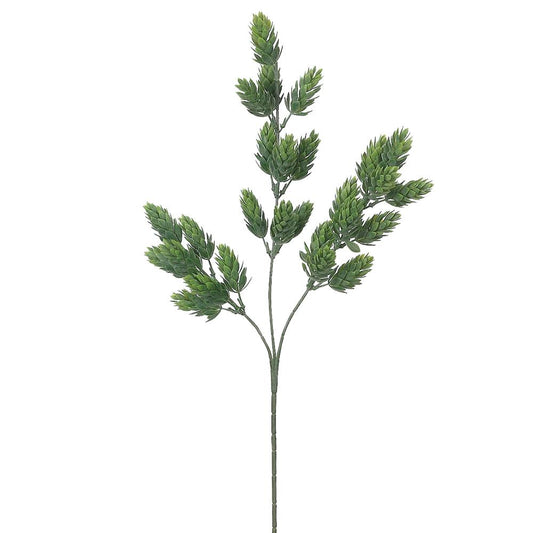 26.5" Hops Spray  Green Frosted