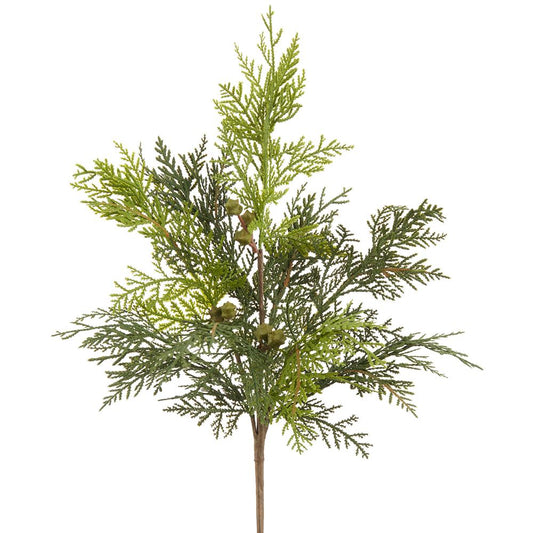 16" Cedar Bush GR