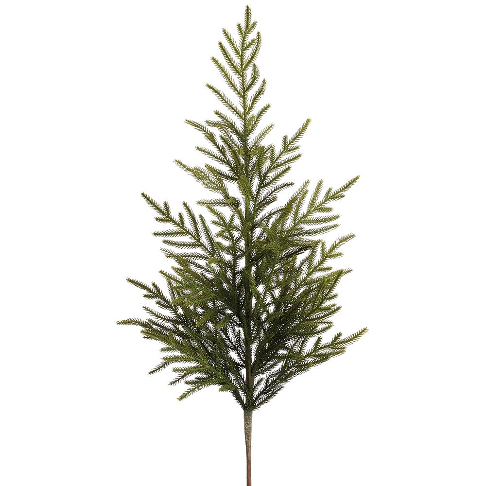 32" Cypress Tree Branch