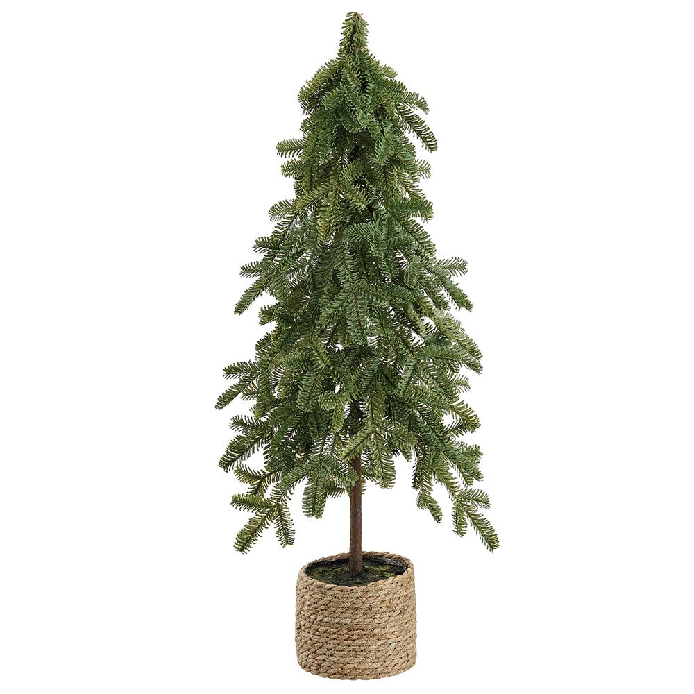 38" Spruce pine Topiary in Basket