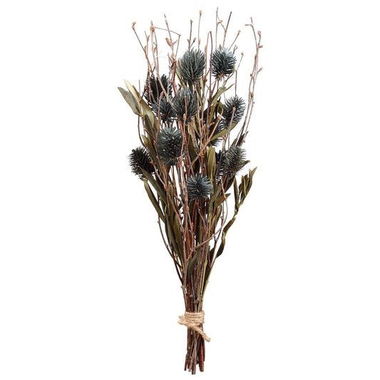 16.5" GLOBE THISTLE BUNDLE NY