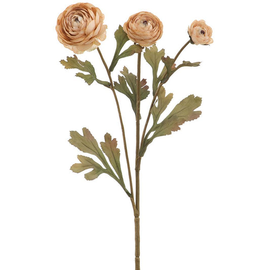 19.5 Ranunculus Spray