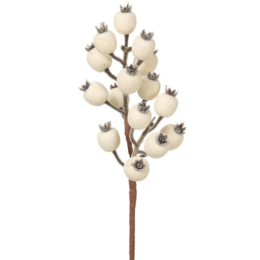 13" Rosehip Spray  White